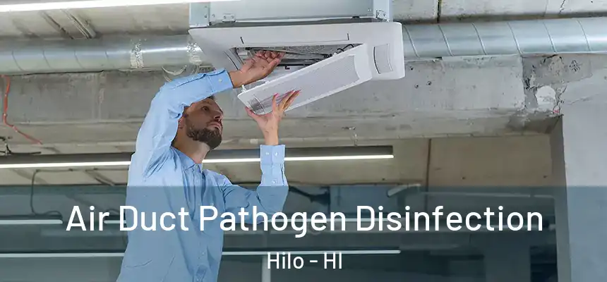  Air Duct Pathogen Disinfection Hilo - HI