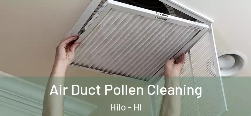  Air Duct Pollen Cleaning Hilo - HI