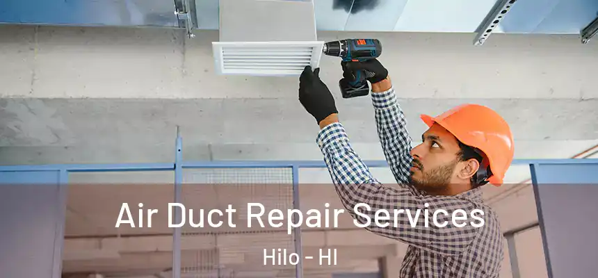  Air Duct Repair Services Hilo - HI