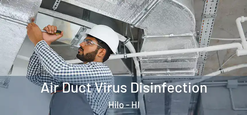  Air Duct Virus Disinfection Hilo - HI