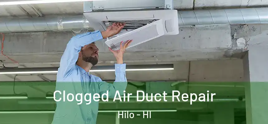  Clogged Air Duct Repair Hilo - HI