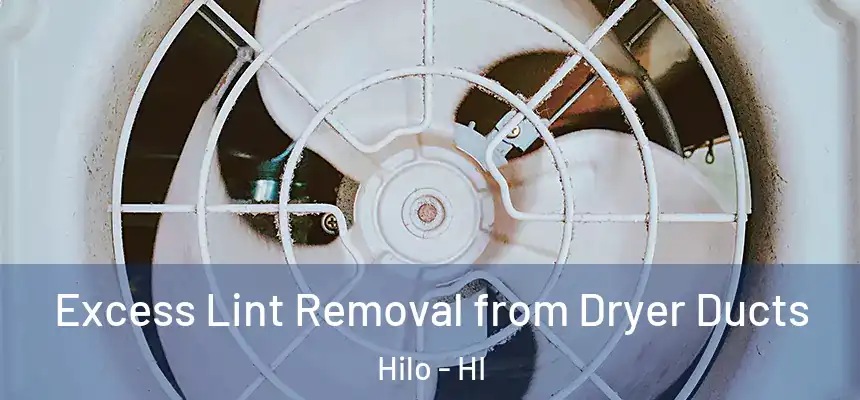  Excess Lint Removal from Dryer Ducts Hilo - HI