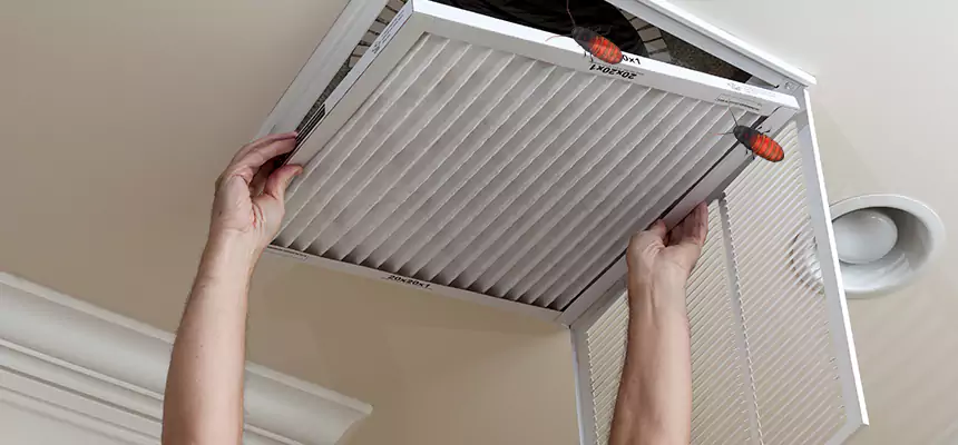 Preventive Cockroach-Proofing for Ducts in Hilo