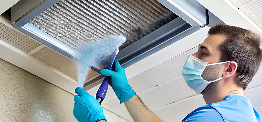 Proactive Dryer Vent & Auxiliary Duct Pollen Cleanup in Hilo, HI