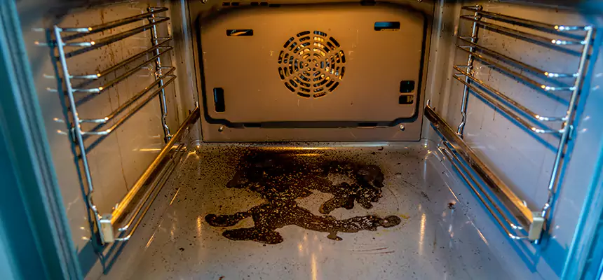 Our Dryer Vent Mold Cleaning Services in Hilo, HI