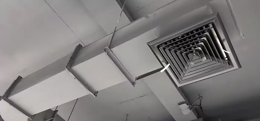 Our Pest Removal From Ducts Services in Hilo, HI