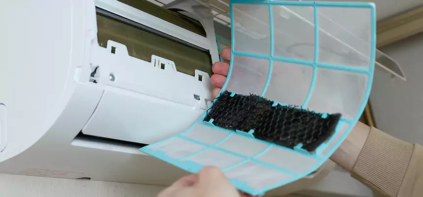 Gentle Ductwork Odor-Control Pet Dander Duct Cleaning in Hilo, HI