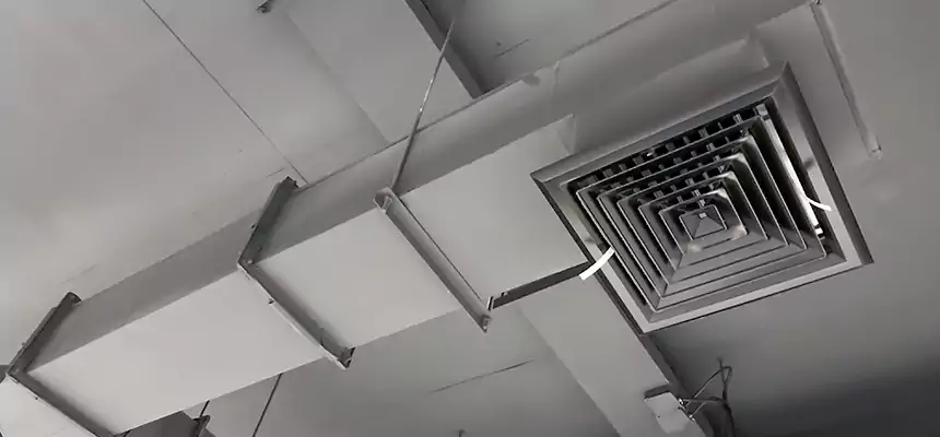 Our Rodent Droppings In Vents Services in Hilo, HI