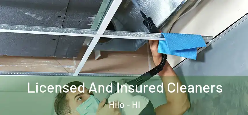  Licensed And Insured Cleaners Hilo - HI