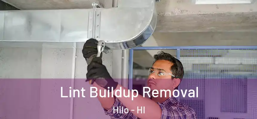  Lint Buildup Removal Hilo - HI
