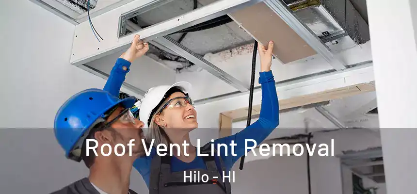  Roof Vent Lint Removal Hilo - HI