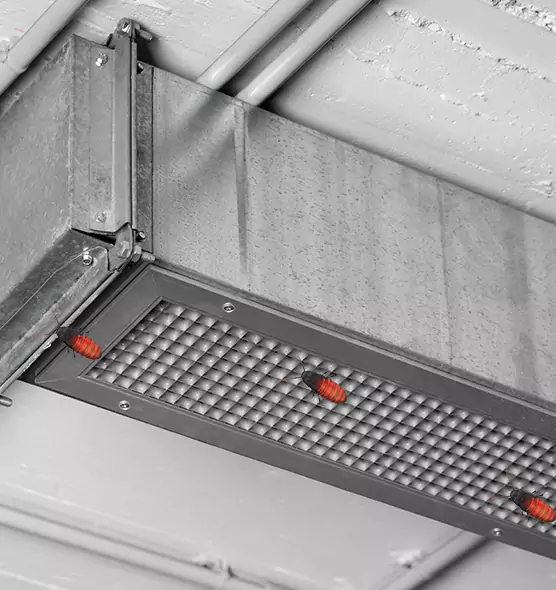 About Air Duct Cockroach Removal in Hilo, HI