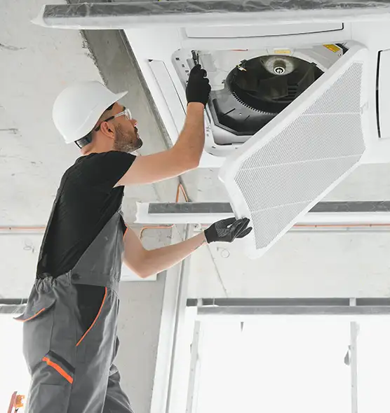 About Air Duct Rodent Removal in Hilo, HI