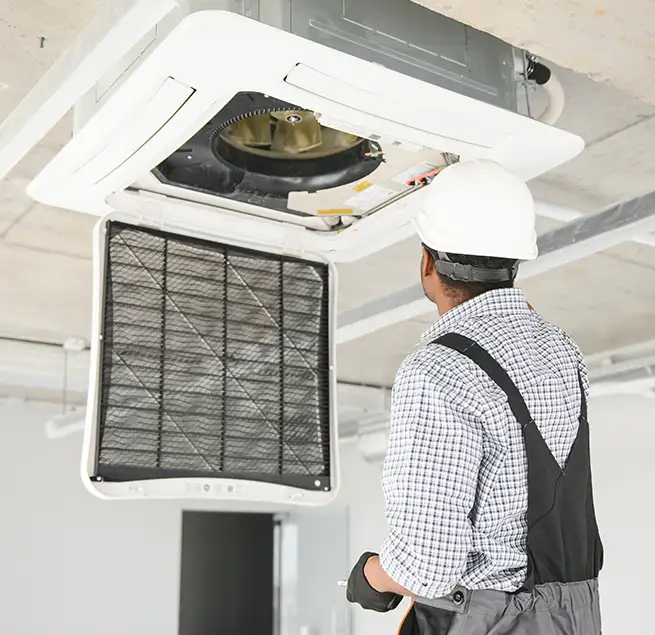 Why Homeowners & Businesses Trust Us in Hilo, HI?