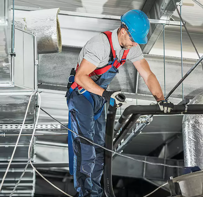 Why Homeowners & Businesses Trust Us in Hilo, HI?