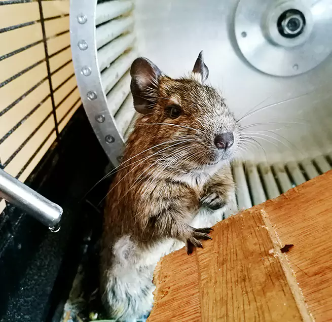 Why Homeowners & Businesses Trust Us Hilo, HI?