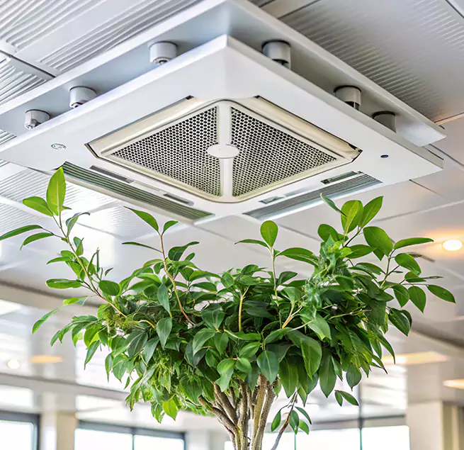 Why Homeowners & Businesses Trust Us in Hilo, HI?