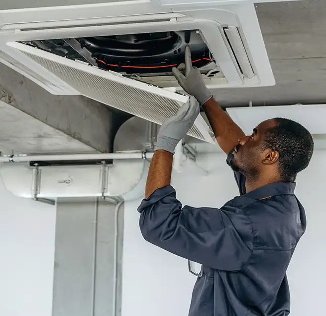 Why Homeowners & Businesses Trust Us in Hilo, HI?