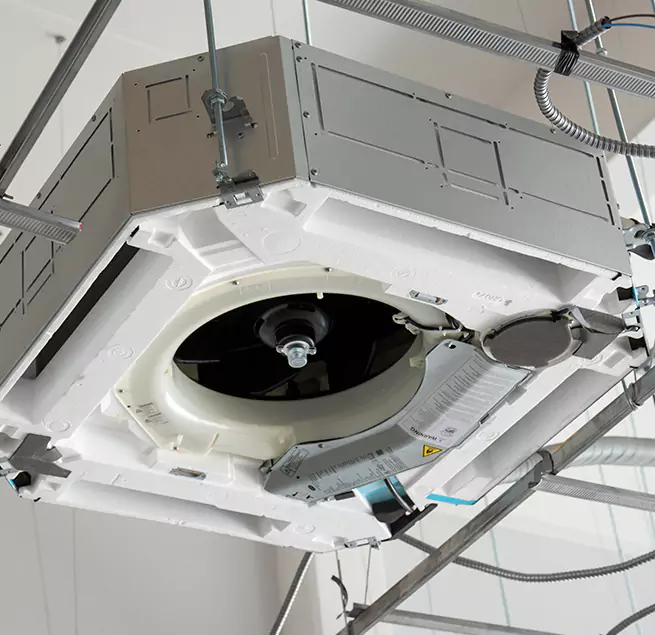 Why Homeowners & Businesses Trust Us in Hilo, HI?