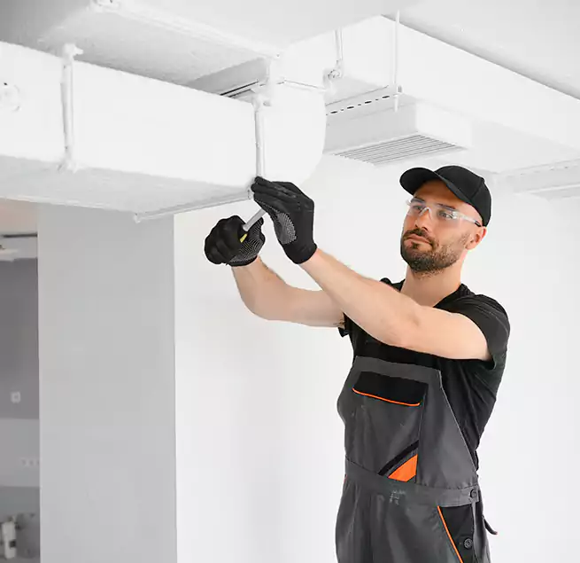 Why Homeowners & Businesses Trust Us in Hilo, HI?