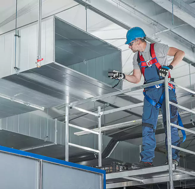 Why Homeowners Businesses Trust Us in Hilo, HI