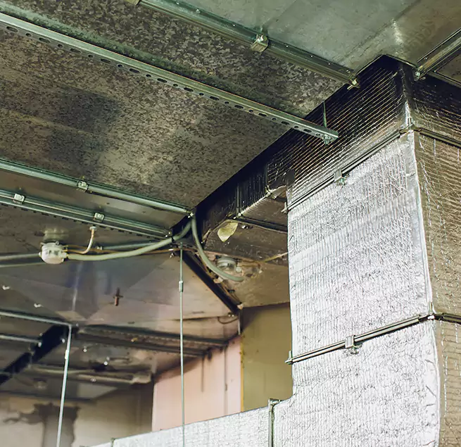 Why Homeowners & Businesses Trust Us in Hilo, HI?