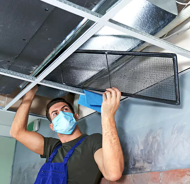  Why Homeowners Businesses Trust Us  in Hilo, HI?